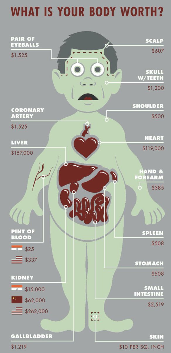 Harga organ tubuh manusia