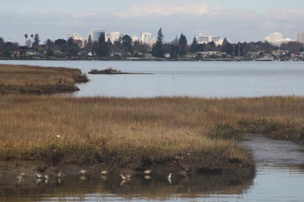 gAuto's tweet image. Top 3 Boating Spots in East Bay

Article: ow.ly/SDrRd

@Peter_Hegarty @PlayDateBayArea @AirDistrict
