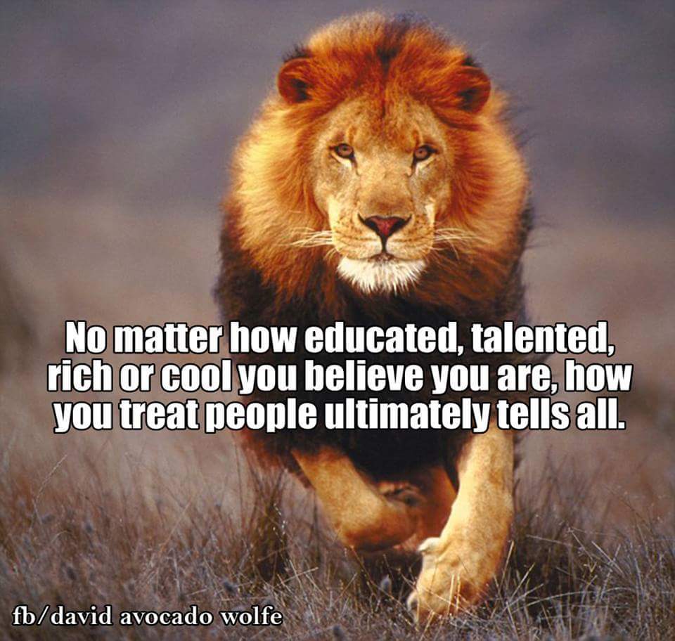 daniel kleynickel (@nickelnova) on Twitter photo 