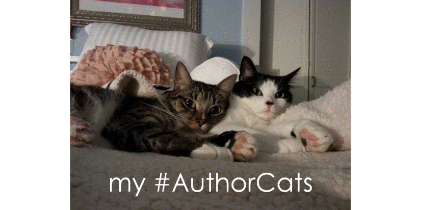that's us - taking over mom's bed
#CatsRule