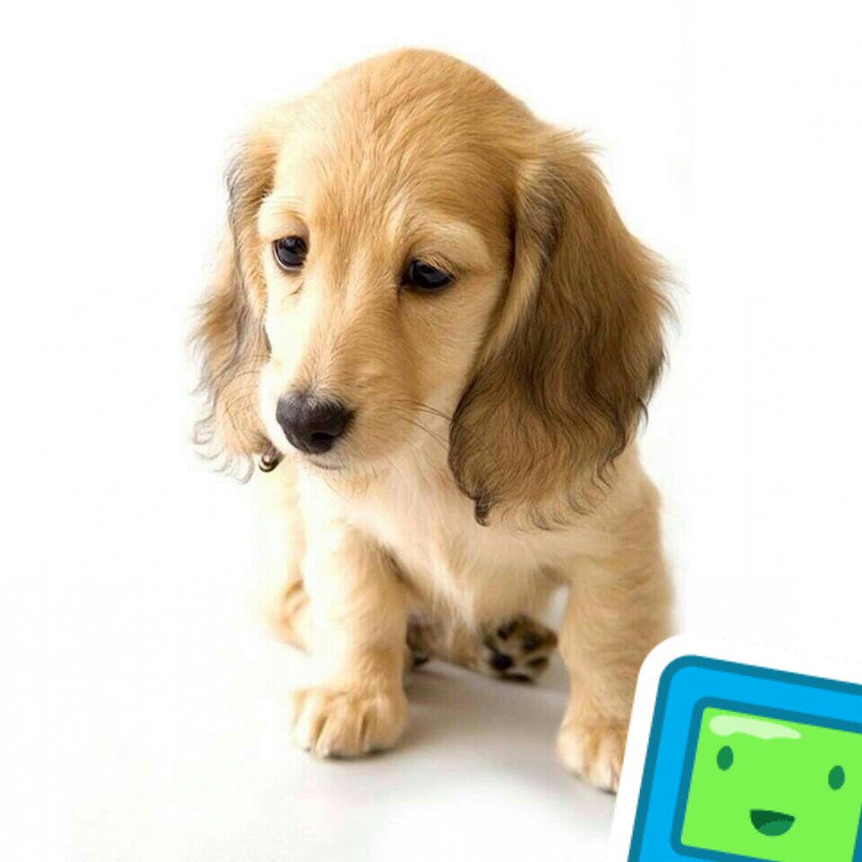 I'm at Balcı home 🏡 swarmapp.com/c/2TMvJSjYecM