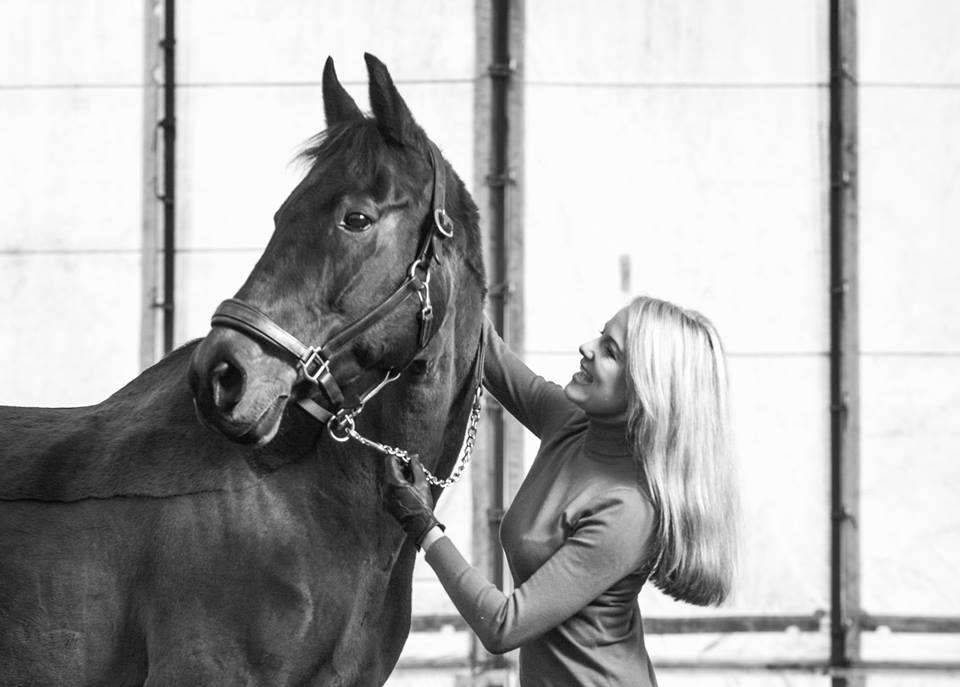 Tea Hill Stable (TeaHillStable) Twitter