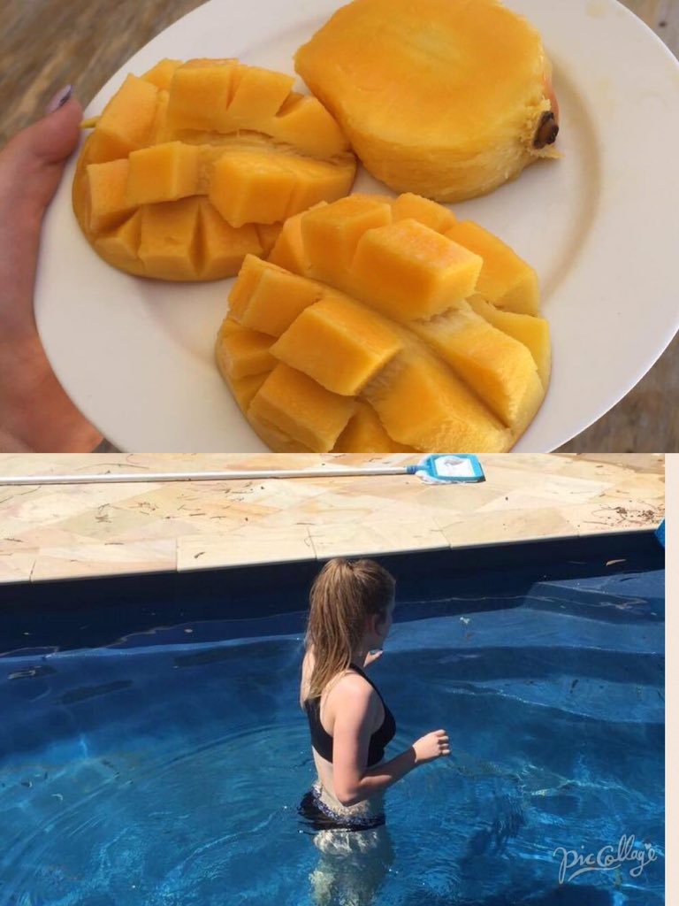 NeveConnor's tweet photo. Snack + recovery after session 2 🏉🏉@YouthGirls https://t.co/dmZPktj1vr