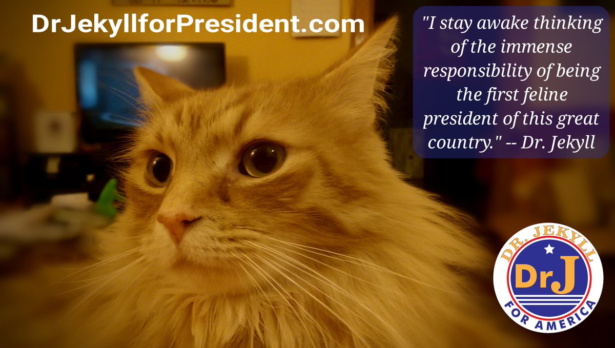 drj4prez's tweet photo. While I love to sleep, I have more important things to do. Help me lead this country to greatness! https://t.co/O7zy4y17em