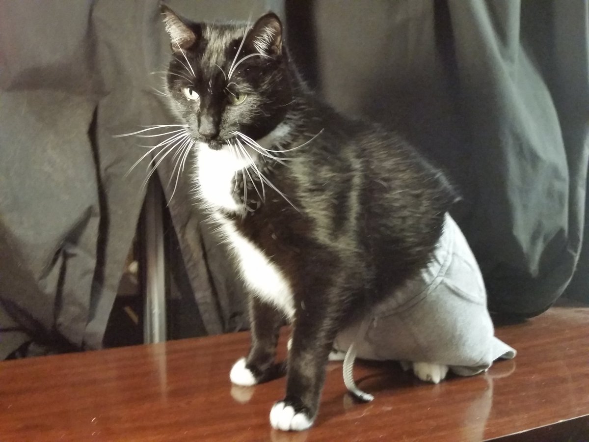 Embedded image permalink