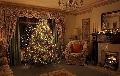 #картинки  #pictures #новыйгод #зима  #красота #елка