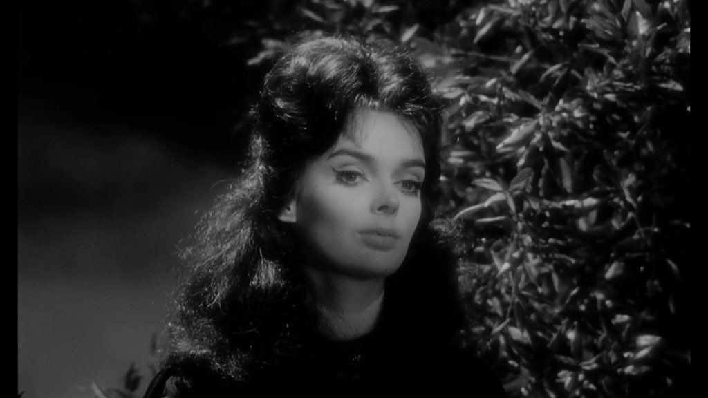   Barbara Steele Happy Birthday 