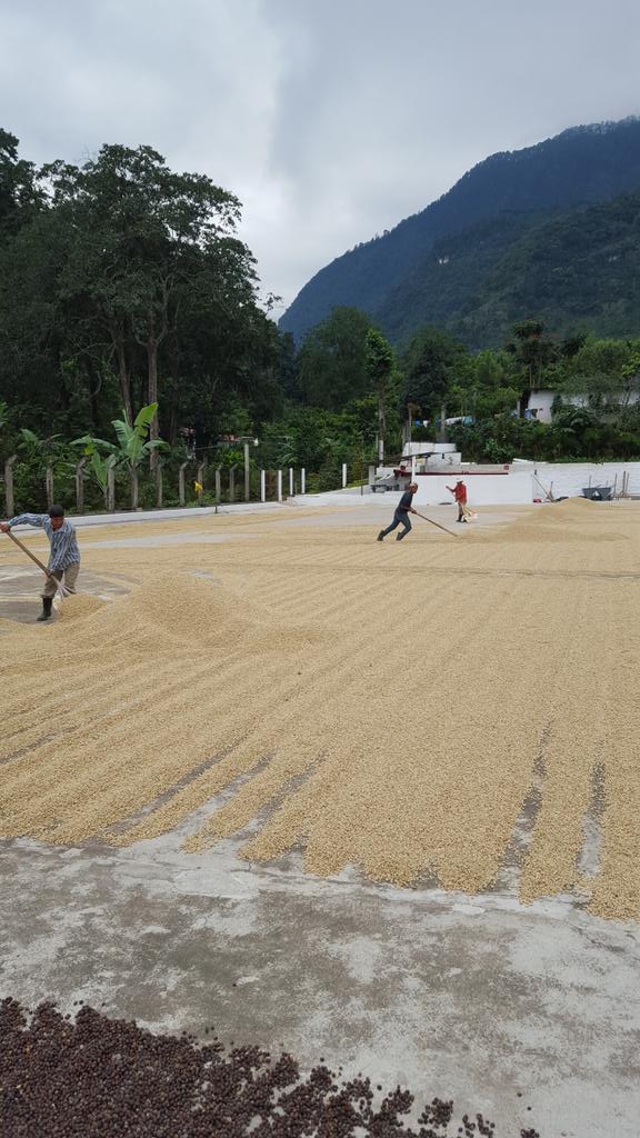 Vides 58 Coffees tweet media