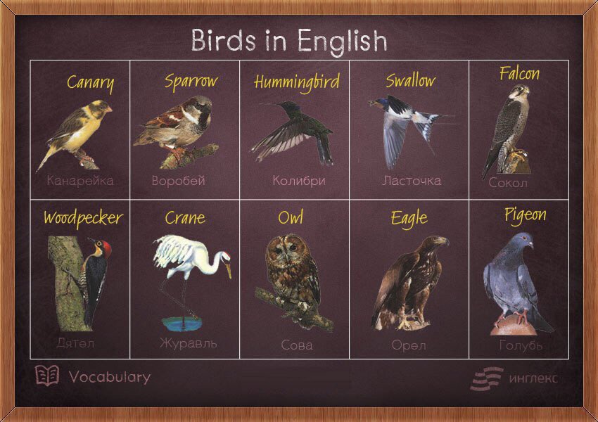Try2LearnEng tweet picture