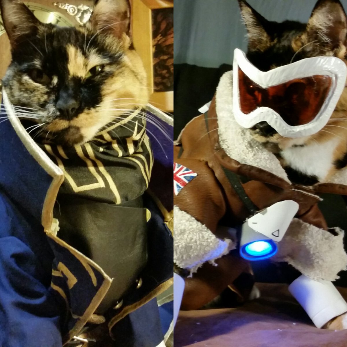 Embedded image permalink