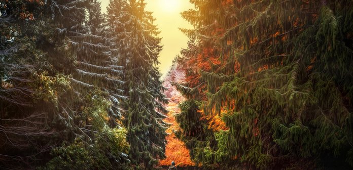 Inspirely's tweet photo. Follow Me https://t.co/lzs6mXtZTR #Switzerland #Earth #PictureOfTheDay #Nature https://t.co/6sX32Jr9sH