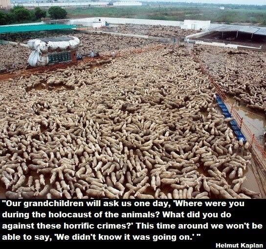 _AnimalAdvocate's tweet photo. 153,000,000 A DAY
Trying to imagine the scale of #animal horror
is like trying to imagine the scale of the #universe https://t.co/ddt0SggtHO