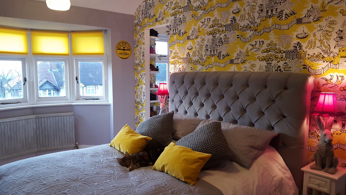 _glass_house_'s tweet photo. ALL the world's sunshine pours into this room, courtesy of @blinds2go's Neon Yellow Blinds https://t.co/JbcZZILDYj https://t.co/aG3ozwUEGC
