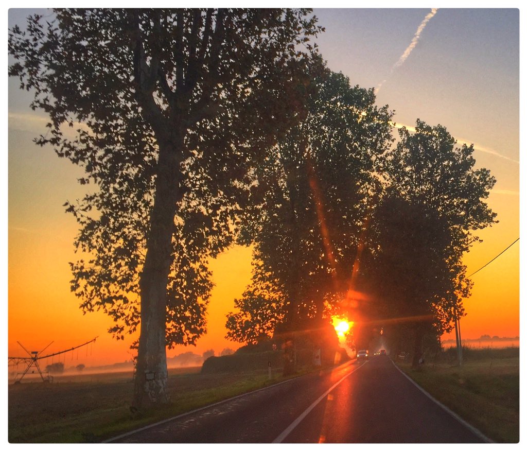 actualfoto's tweet photo. Pronti per il 2016?  Sempre di corsa ovviamente. https://t.co/sFrhWjs4oe