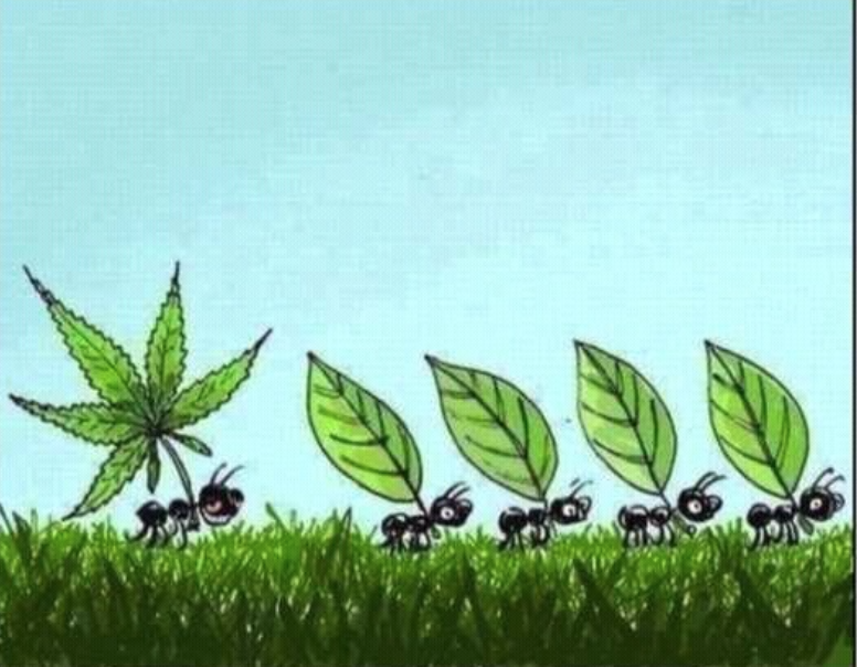 BestNugPorn's tweet photo. RT if this is you too 😂 https://t.co/1vtljHUAAJ
