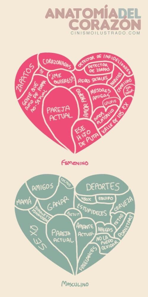 March_Loyola's tweet photo. Anatomía del corazón... https://t.co/om6VOdDHyd