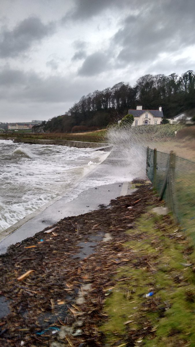 BFORRESTAL's tweet image. #winterwaves