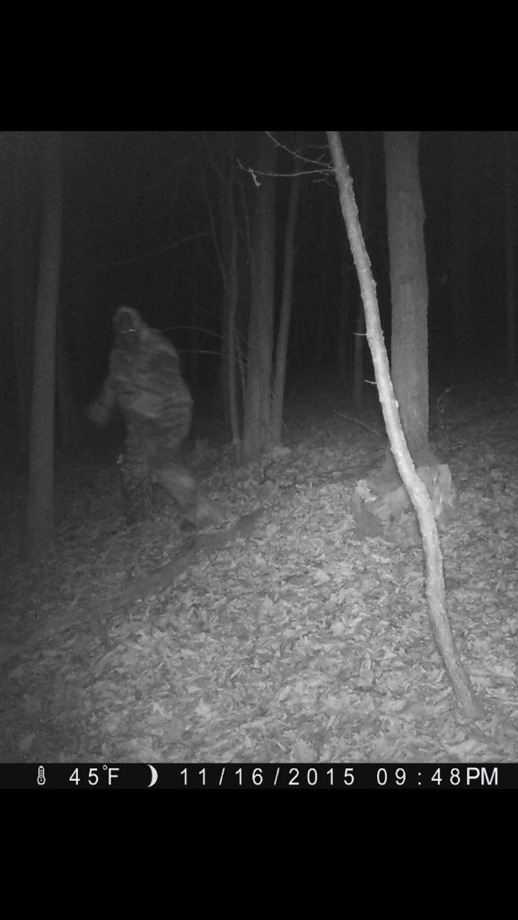 garystrayer1's tweet photo. Yikes!  Woooooooooo!  Central Pa is what Yeti Go during El Nino... https://t.co/V89RU1Wieh