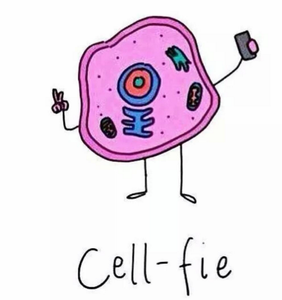 Cell-fie