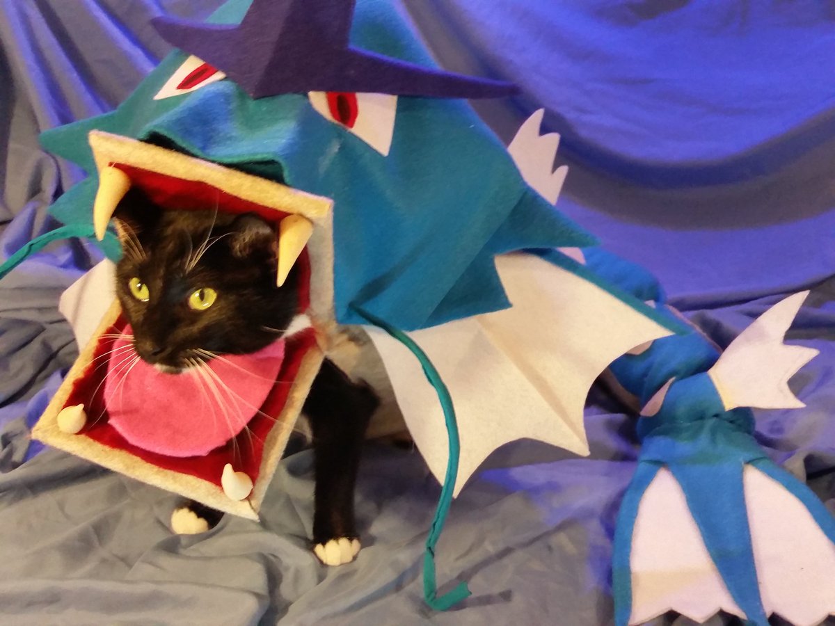 Embedded image permalink