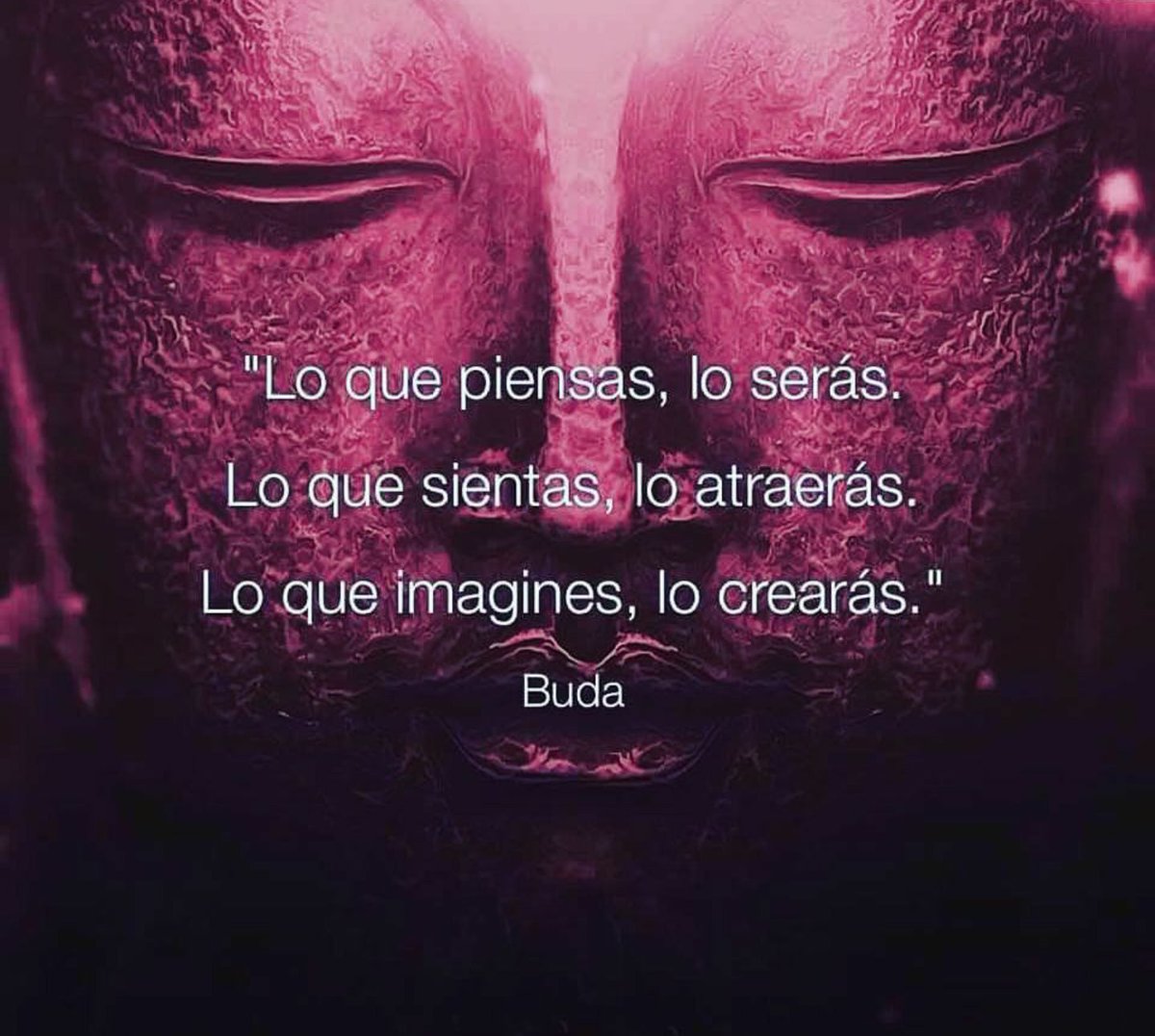 Ainara Vicuña tweet media