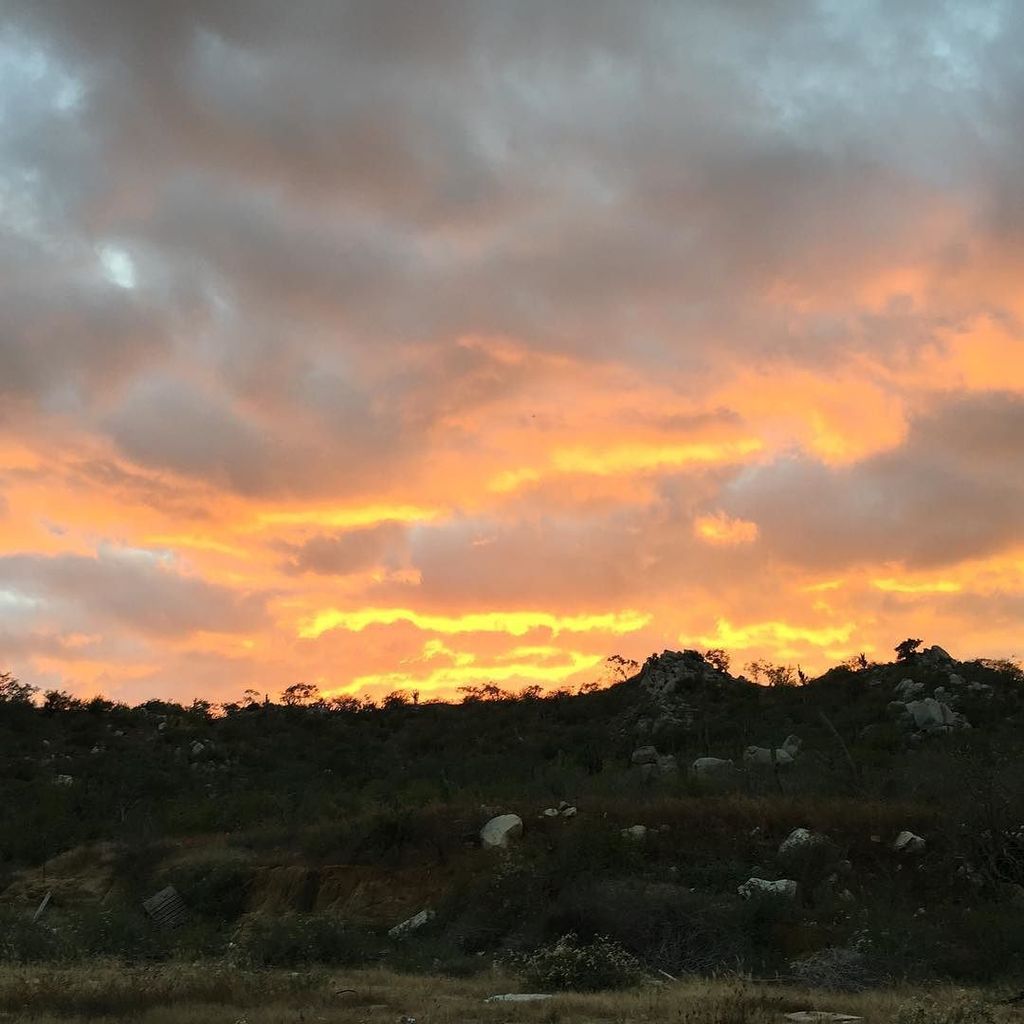 MientrasCabos's tweet image. #rainingfire #sunset #cabo by @jorgiyocabo - ift.tt/1mp7wUk