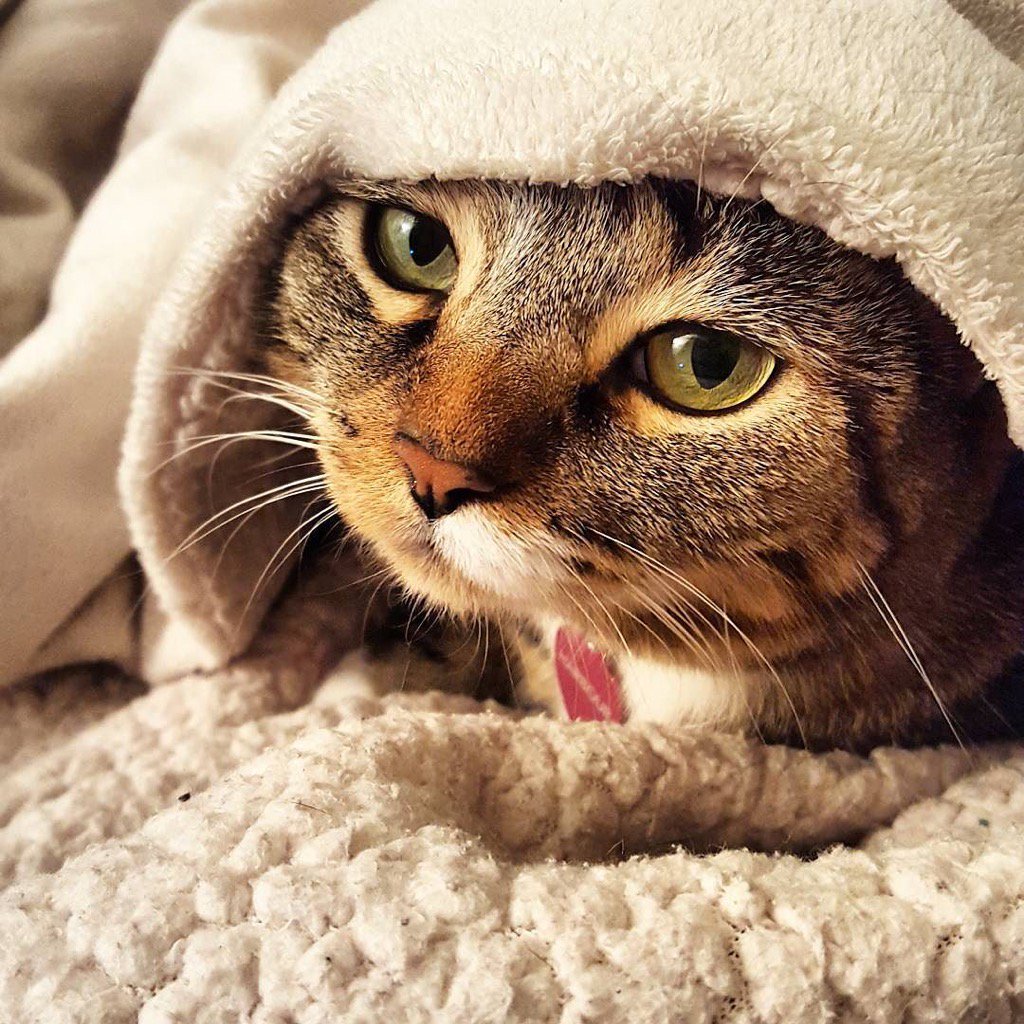 Elverojaguar's tweet photo. https://t.co/qYzaRKpRsJ