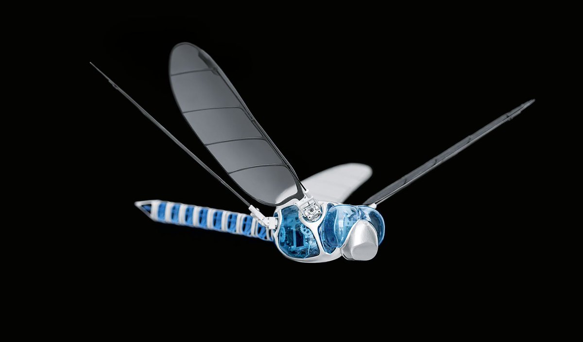 Dragonfly MDP tweet media