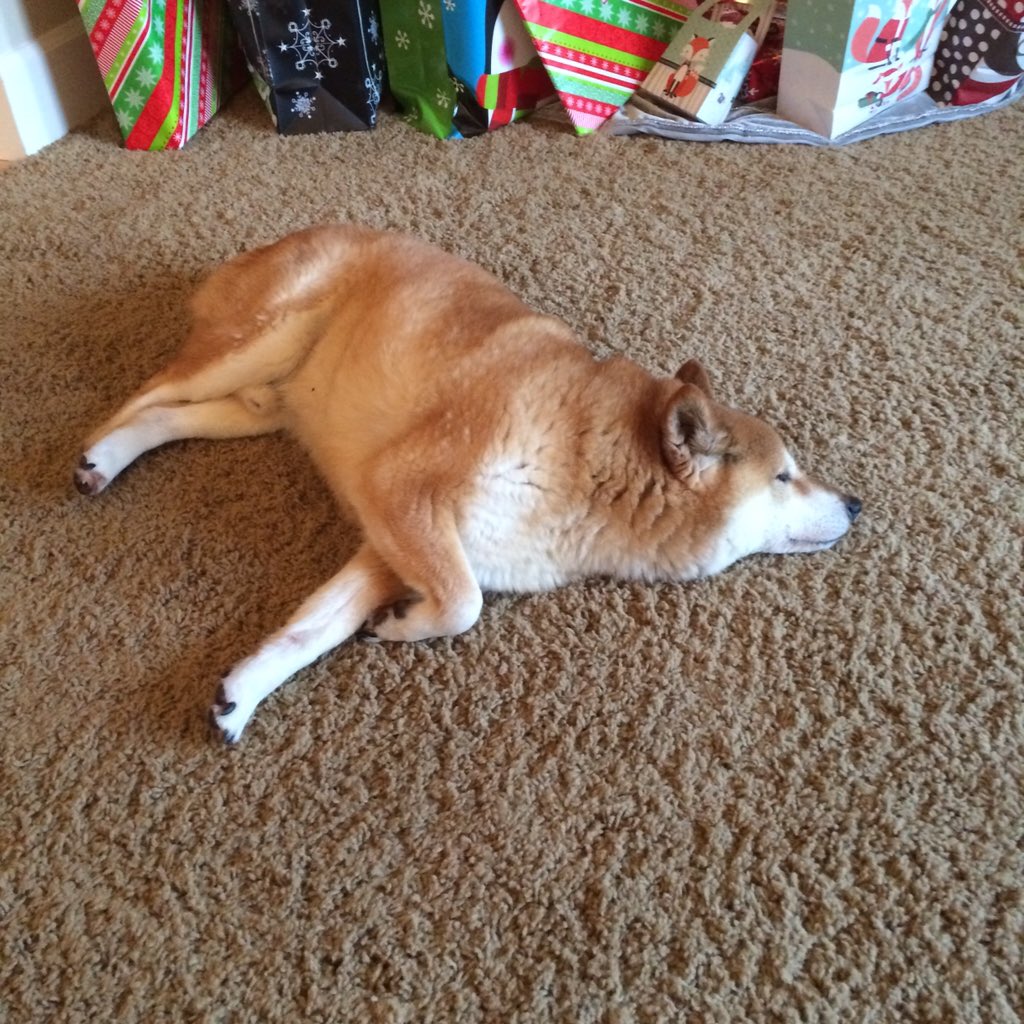 Sparklez_Teddy's tweet photo. https://t.co/vqCHlHuATB