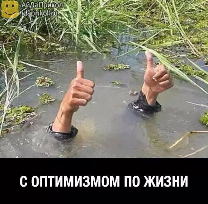 AngelKatya tweet picture