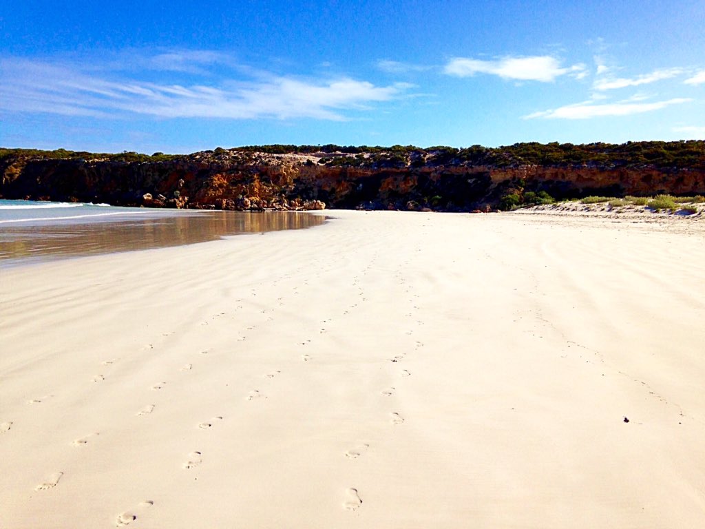 sarah__walsh's tweet photo. #portlincoln #southaustralia #beach #saweekendsummer #novaissummer #summerisnova https://t.co/gtiLUoDYSc