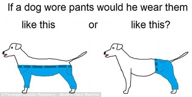 The Internet is tearing itself apart debating how dogs would wear pants