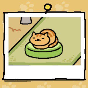 Fred likes his green cushion