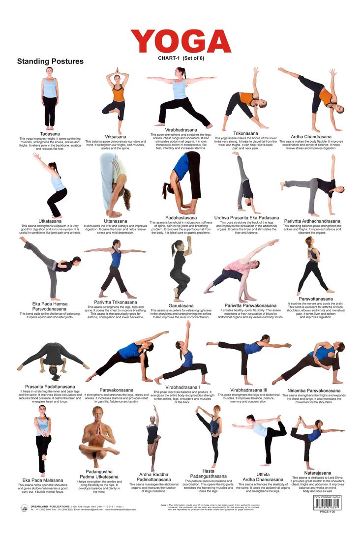 Yoga Asanas Chart Book: lllustrated Yoga Pose Chart with 60 Poses (aka  Postures, Asanas, Positions) - Pose Names in Sanskrit and English - Great  for Hatha Yoga Beginners to Advanced (Paperback Book