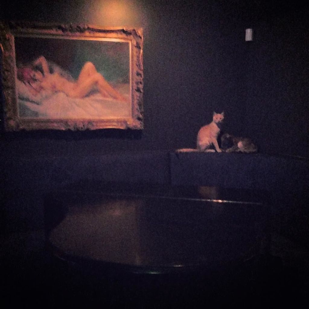 TwentyTwoEleven tweet media