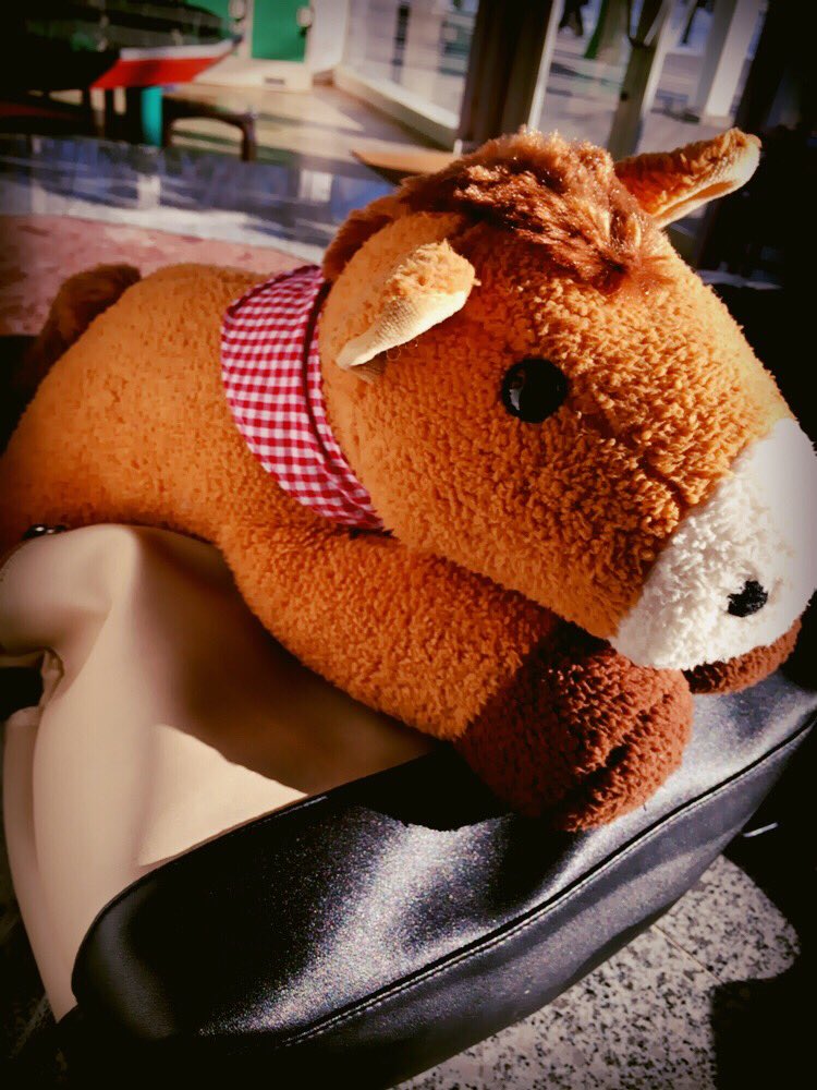 maist_x7's tweet photo. こんちゃ 濱田やで ！

お昼の更新✌️

えっと いま 北海道にいるんやけど

お馬さん めちゃくちゃ買ってもうた 笑

４匹 やで 、（

家に1匹おんねん （

かわええやろ ✌️

んじゃ ばい

#まいすとーりー https://t.co/MLPuC3kb7A