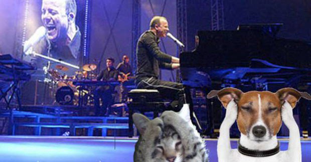 lercionotizie's tweet photo. #Ultimora Bari,cani e gatti chiedono i botti al posto del concertone di Capodanno di #GigiDAlessio https://t.co/okhCuRAhIh