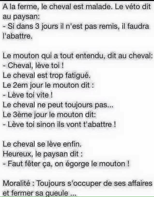 Maii_qui_maille's tweet photo. A bon entendeur ! https://t.co/jCcxFbefAg