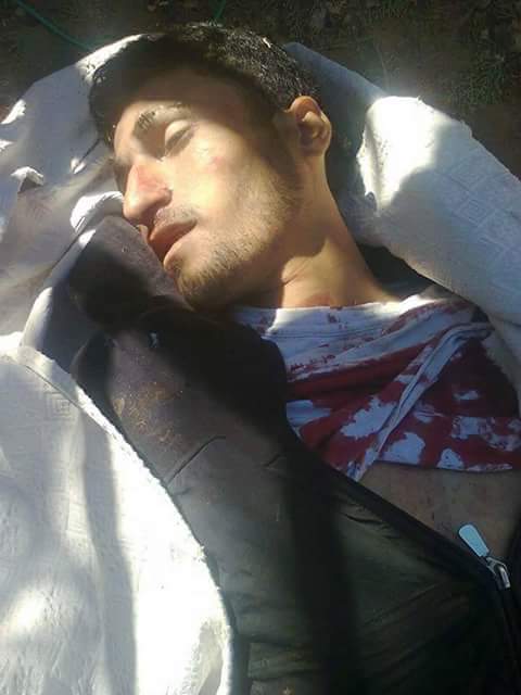 Embedded image permalink