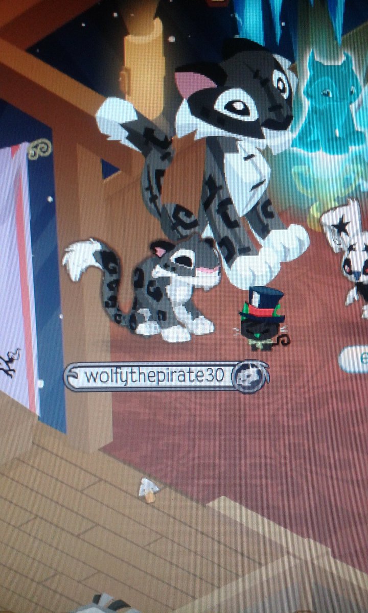 megaAbsol30's tweet image. XD I'm copy doll lol