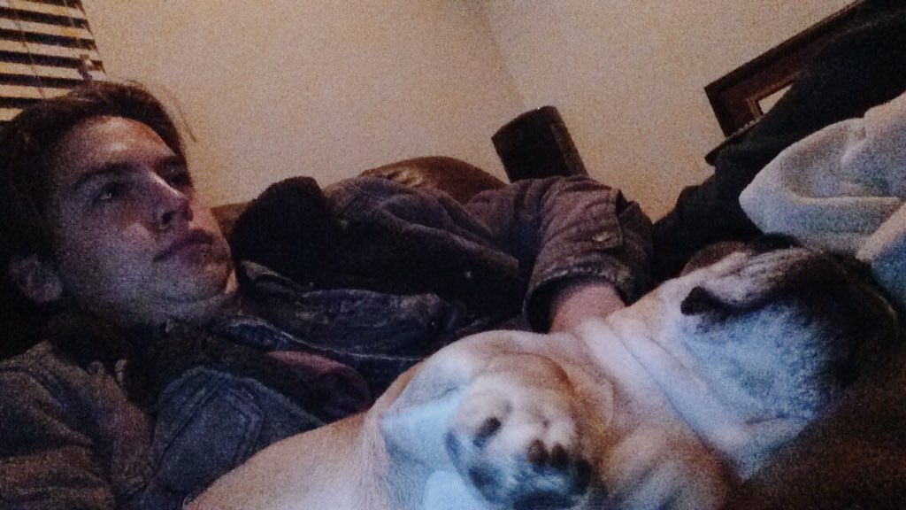 colesprouse's tweet image. Hi yes, I'd like an order of buttered toast, extra butter, hold the toast.