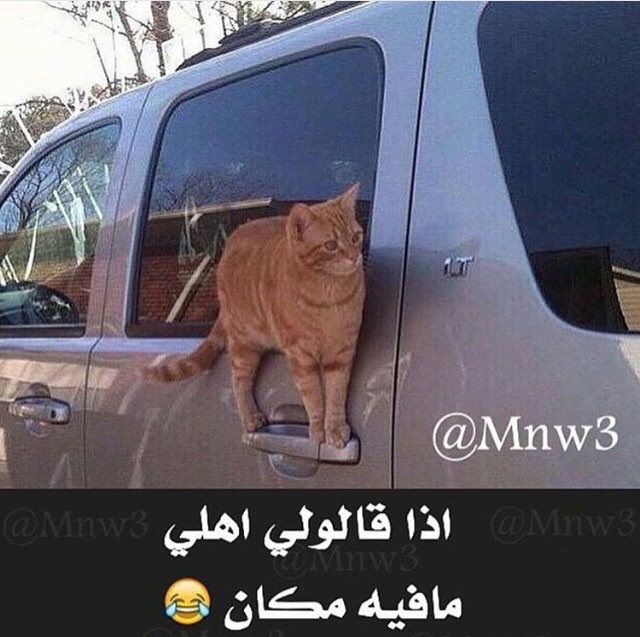 90a_i's tweet photo. https://t.co/Mrq2WJ2Sco