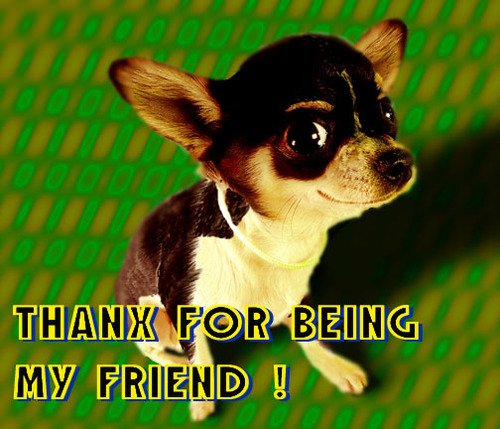 funnydog123's tweet photo. Funny dog. https://t.co/Cx23vLaGHo
#dog #puppy #funny #dogs #doglovers #dogsareawesome #puppies #puppylove #fun https://t.co/mUWNFOtS4p
