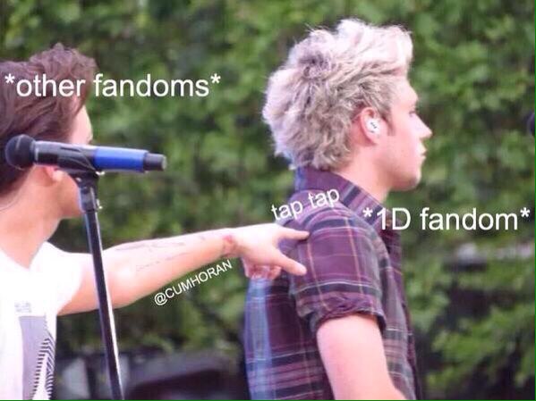 afroze2002's tweet photo. #MessageForMyCrush 
*One Direction Fandom be like* https://t.co/AYJtB2A5Gx