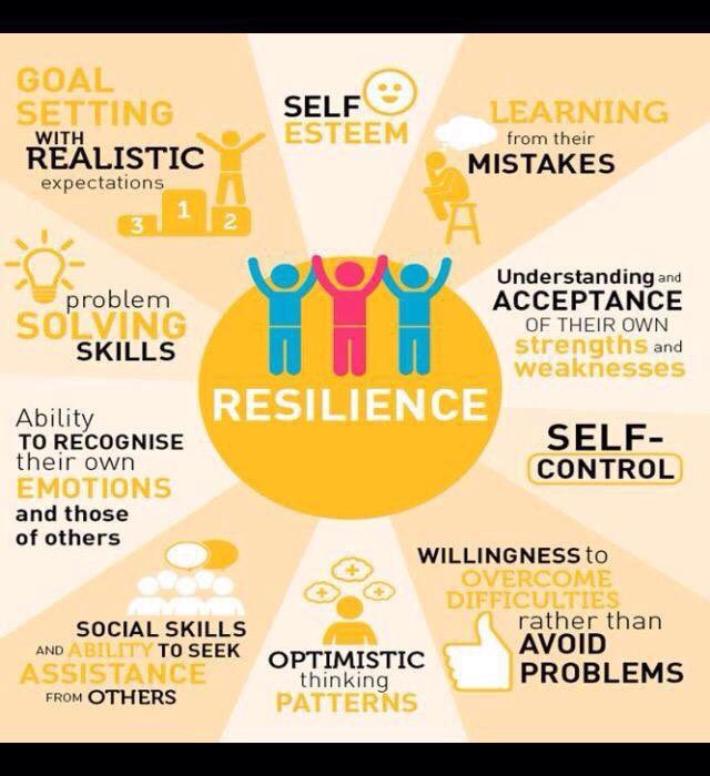 Resilience (veerkracht)