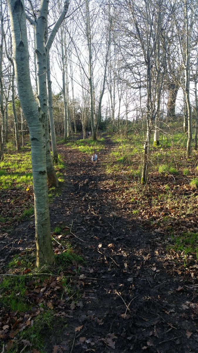 Ju_Xolo's tweet photo. Walkies https://t.co/G1ylkMHaqp