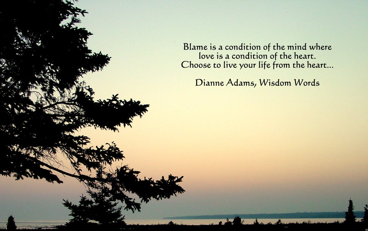 amit505mca's tweet image. 