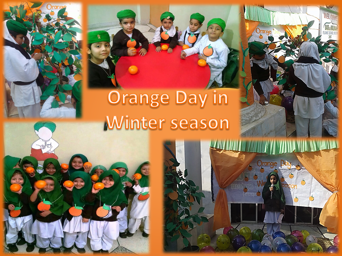daarulmadinah's tweet photo. The #Orange_day in Dar-ul-Madinah https://t.co/mV3eaBMr9P