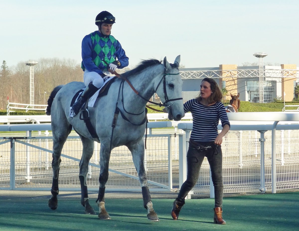 Hippodrome_Pau's tweet photo. Prix Mortimer Lassence: Saying Again confirme, Toutancarmont rassure #course #hippodrome #sayingagain @francegalop https://t.co/NWF42ghtMl