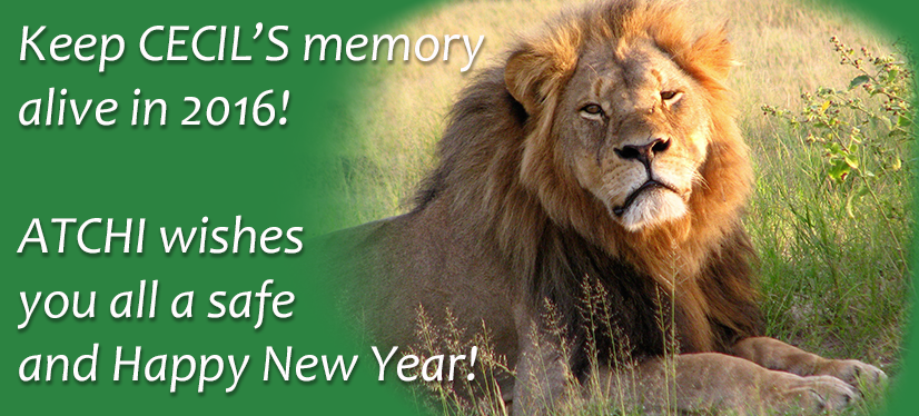 ATCHIforChange's tweet photo. <3 #CecilTheLion #ATCHI https://t.co/0kbGErLzkD